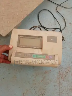 1 Tonne Industrial Scale