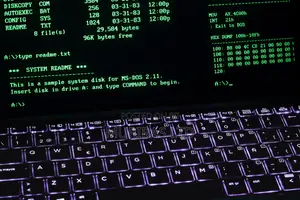 Jifunze Ku-Code na AI kwa Chini ya Wiki Moja