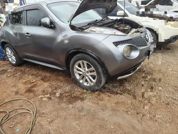 Nissan Juke 2011 Gray - 1