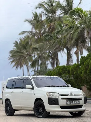 Toyota Probox 1.5 F 2WD 2017 Pearl