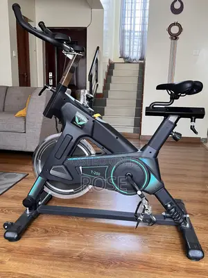 Exercise Spin Bike