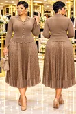 Miyaki Pleated Dress - 1