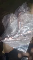 High Quality Curtain Rods - 5