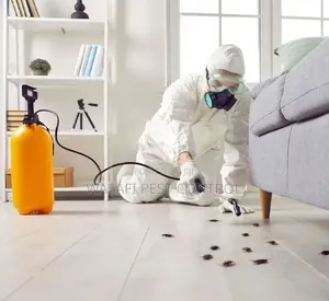 Pest Control Services by Wasafi Services Company