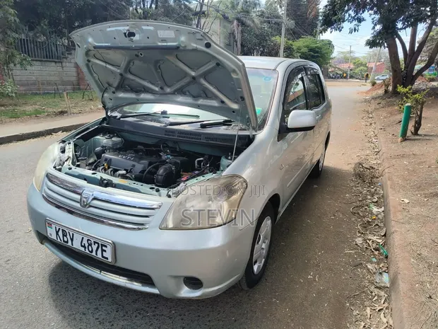 Toyota Raum 2008 Gray - 1