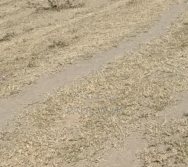 Four Acres Farmland for Sale in Narumoro - 1