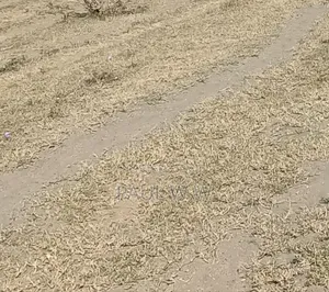 Hekta Nne za Ardhi ya Kilimo Zinauzwa Narumoro