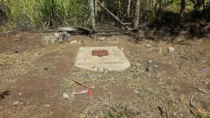 1 Acre Prime Land with 3-Bedroom Wooden House in Baari, Nyandarua