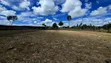 1 Acre Prime Land with 3-Bedroom Wooden House in Baari, Nyandarua - 3