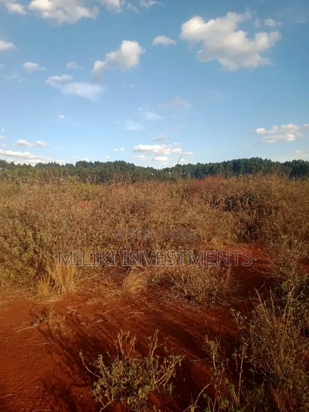 50 Acres Land for Sale in Makuyu, Murang'a - 1