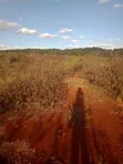 Eneo la Eka 50 Linauzwa Makuyu, Murang'a - 2