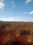 Eneo la Eka 50 Linauzwa Makuyu, Murang'a - 3