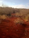 Eneo la Eka 50 Linauzwa Makuyu, Murang'a - 4