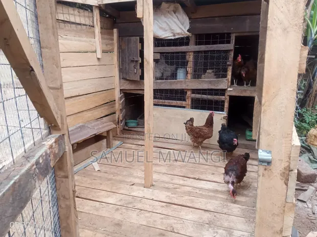 Timber Chicken House - Kanyenya-Ini - 1