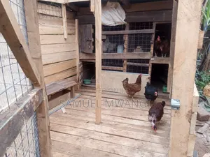 Timber Chicken House - Kanyenya-Ini