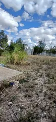 Prime 100x100 Plot for Sale in Katani, Syokimau - 4