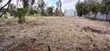 Prime 100x100 Plot for Sale in Katani, Syokimau - 5