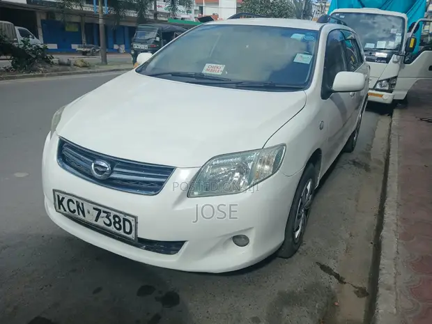 Toyota Corolla Fielder 2010 Nyeupe - 1