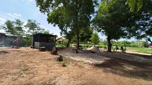 Kitalu cha Kuuzwa Kaoyeni Centre