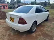Toyota Corolla 2002 White - 5