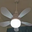 2-in-1 Ceiling Fan with LED Light & Remote Control - 1