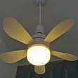 2-in-1 Ceiling Fan with LED Light & Remote Control - 2