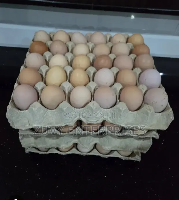 Kenbro Kienyeji Eggs - 1