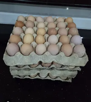 Kenbro Kienyeji Eggs