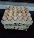 Kenbro Kienyeji Eggs - 1