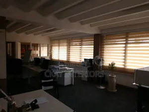 Office Window Blinds/Curtains