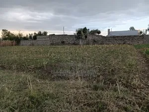 Residential Land for Sale in Ngata