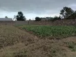 Residential Land for Sale in Ngata - 2