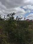 1 Acre Plot Touching Tarmac, Maguguni, Thika - 5