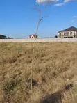 Ardhi ya Kitalu Inauzwa - Kitengela Rixos - 4