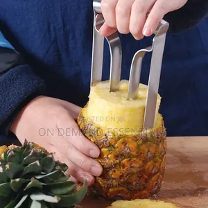 Kifaa cha Kuchorea Nanas cha Chuma cha Nirosta