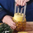 Kifaa cha Kuchorea Nanas cha Chuma cha Nirosta - 2