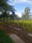 Durable Plastic Fencing Poles (50+ Year Lifespan) - 2