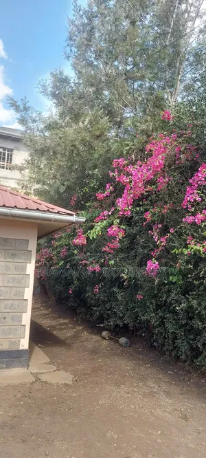Bungalow ya Vyumba 3 vya Kulala Kiserian - Inapangishwa