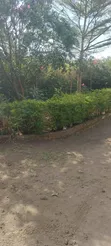 3 Bedroom Bungalow for Rent in Kiserian - 3