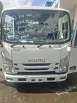 Isuzu Elf 2019 Long Chassis Truck - 1
