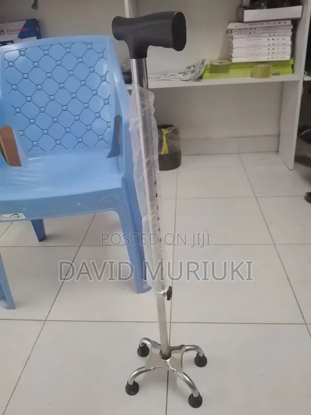 Lightweight Adjustable Walking Stick - 1