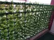 Artificial Leaf Fence 1M X 3M - Skrini ya Faragha - 5