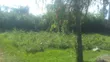 Nyumba ya Vyumba 2 vya Kulala Duka Moja, Maili Nne Inauzwa - 4