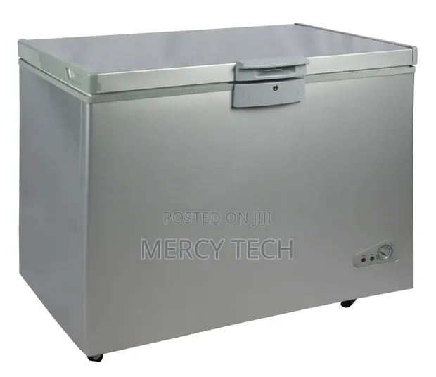 Premier Deep Freezer 300L - 1