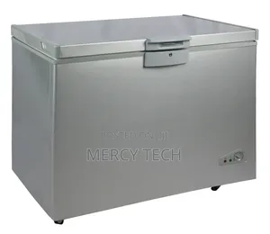 Premier Deep Freezer 300L