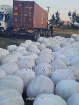 Silage Inapatikana - Zaidi ya Tani 500 Njoro