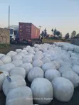 Silage Inapatikana - Zaidi ya Tani 500 Njoro - 2