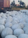 Silage Inapatikana - Zaidi ya Tani 500 Njoro - 3