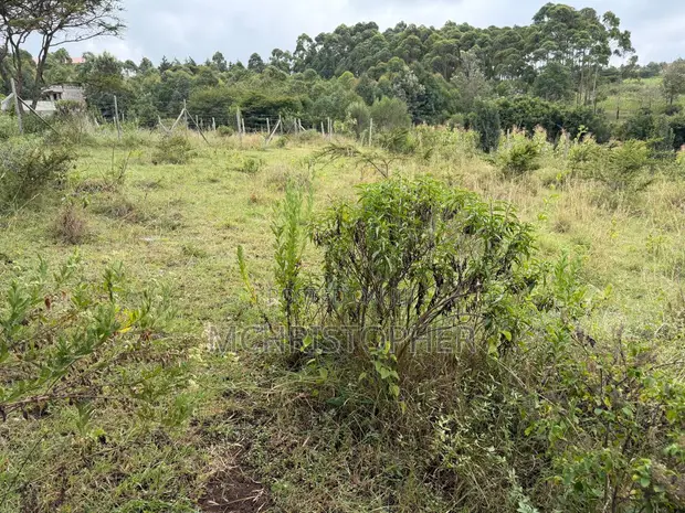 One Eighth Plots for Sale in Ngong - Matasia - 1