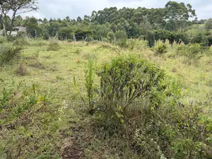 Viwanja Vya Nusu Eka Vinauzwa Ngong - Matasia